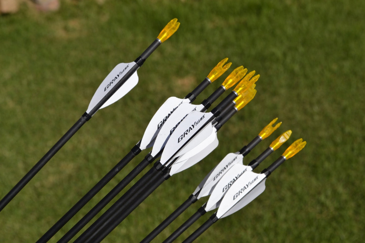 GRAY HAWK Vanes