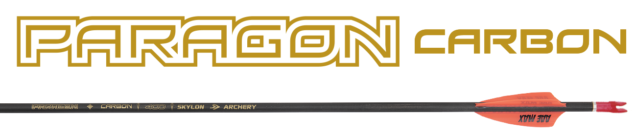 Skylon Shafts Carbon Paragon ID3.2 / Pin Included